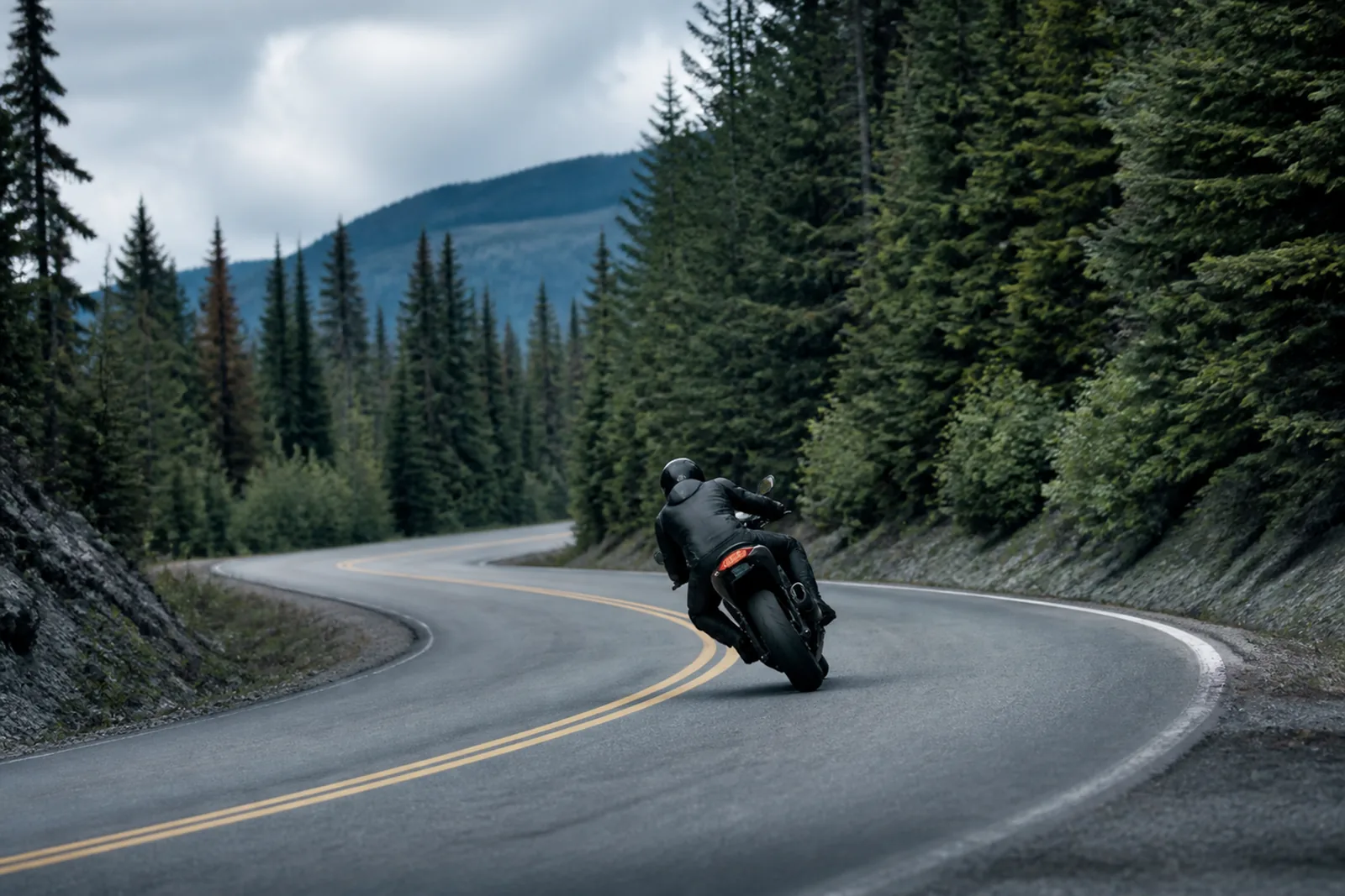 A rider in full protective gear seen from behind at a distance, leaning a motorcycle into a long bend on an empty forest road.