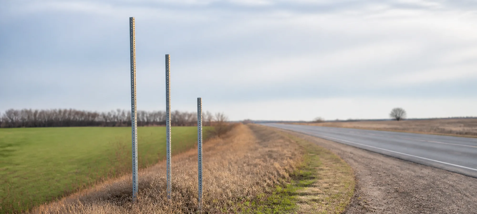 A rural verge lined with three bare posts of different heights, every plate removed, a road running past them into open country.
